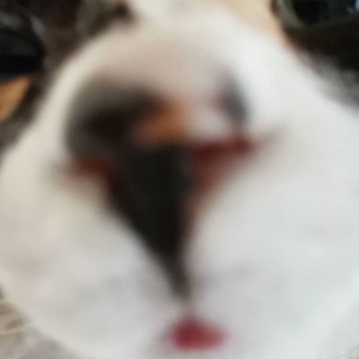 D05635c1 d91d 4f38 a660 ca556bf21643 1674965206023