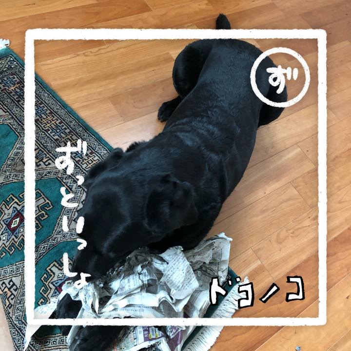 D0563f72 4720 4cf5 bbe9 5b643ad2581f 1685944213135