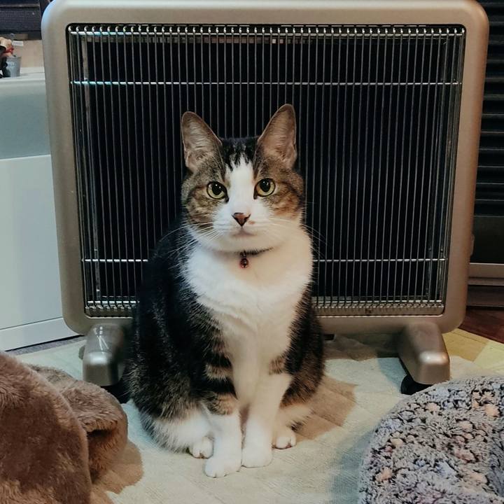 D0569305 c66c 448a 88b2 d7e605167c38 1670586852051