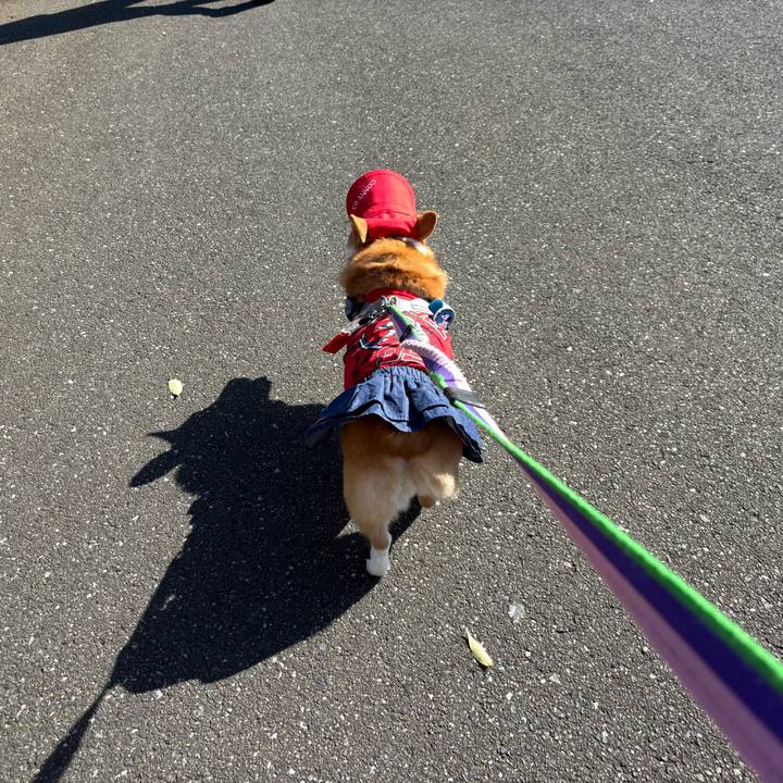 D056d1c2 7c53 413a 9899 1e862bdfba43 1758852695544