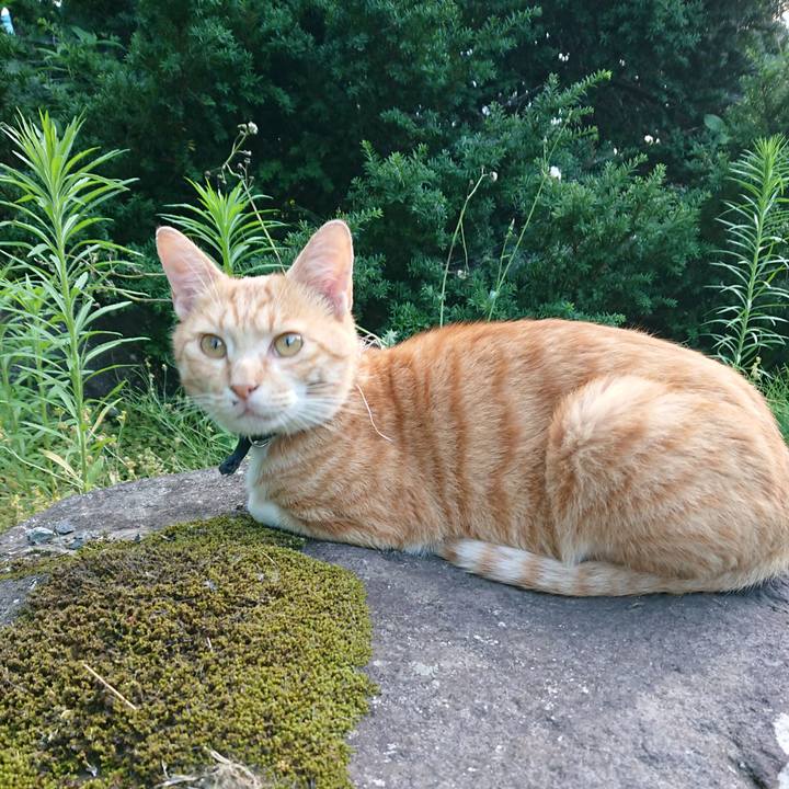 D0571f56 42ba 455d 9d7c 89bee9e76ed8 1563181244144