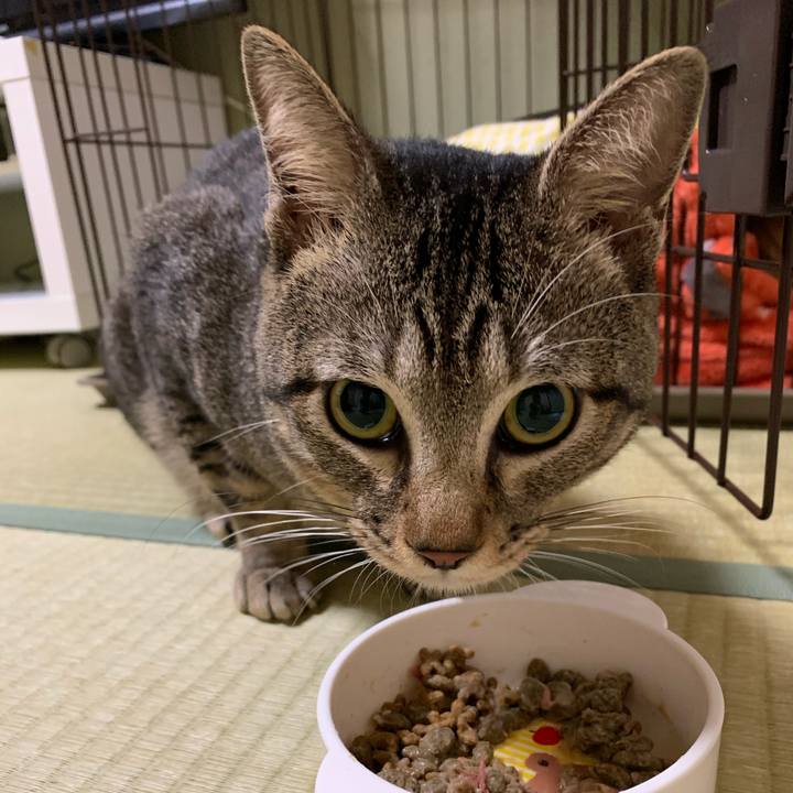 D05741ed c17a 4635 a50e 10ff64ecd6bf 1585743777110