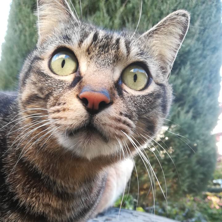 D0574226 b14f 488d a915 08e29a5a5a85 1553417238191