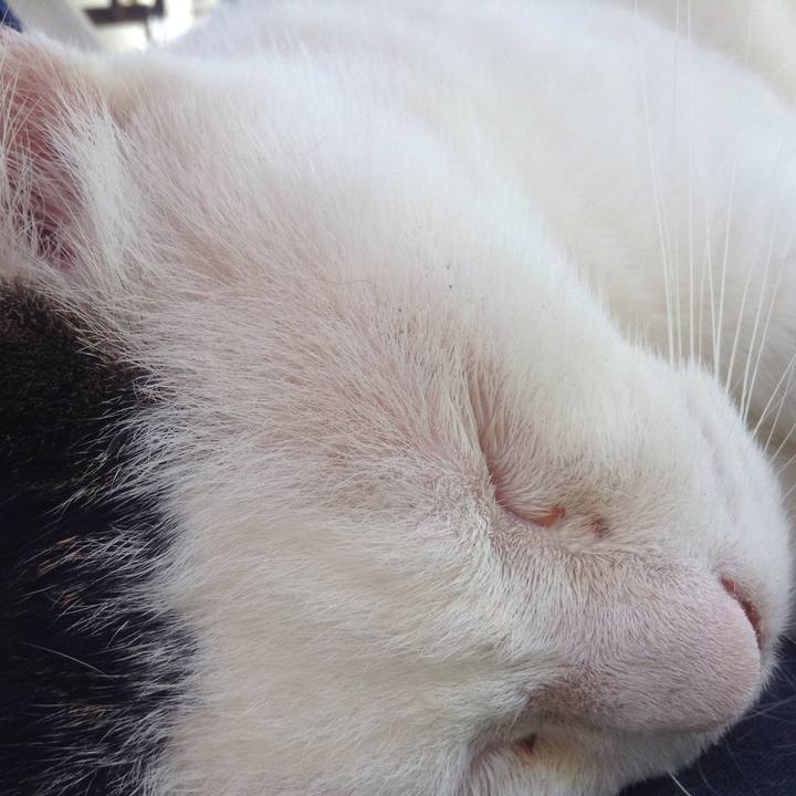 D0574bc5 c9aa 4aee b5d1 6c65f0dc6df1 1534864465642