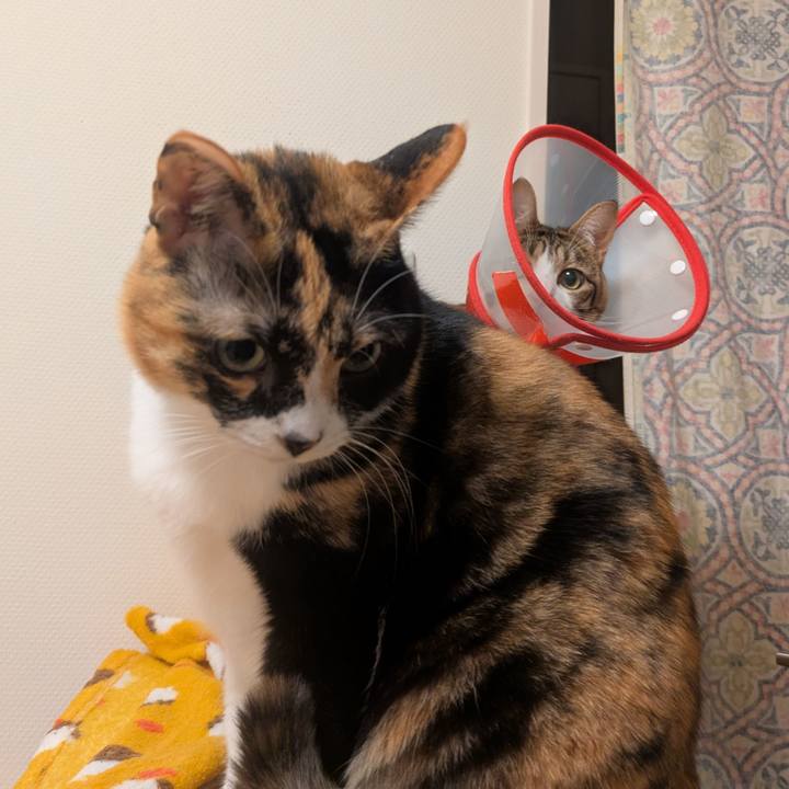 D0575d31 7de5 4a46 83dc e07277e04cab 1767599181284