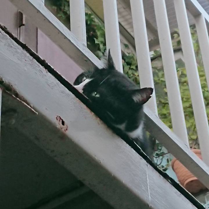 D0575d56 60e0 43e3 ac1f 18c162c1bc82 1535188095255