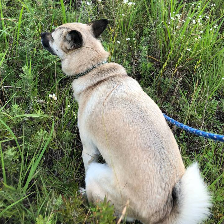 D057724c 6583 473f a861 c4fe79cc8b4a 1562933148630