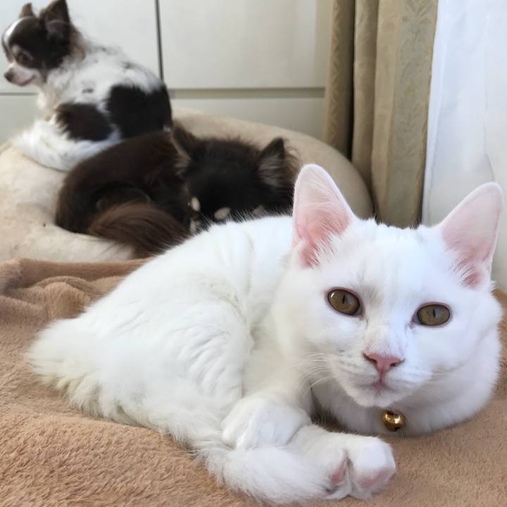 D057a485 49f0 48ad 95a4 6bbca7960e33 1511490164529