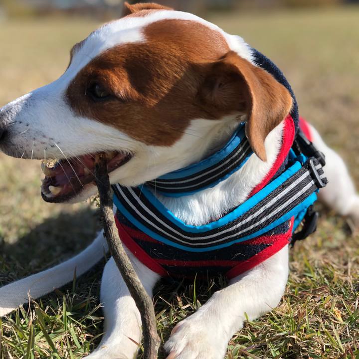 D057adf6 ea88 4634 bc59 e76b7585bedb 1637918097581