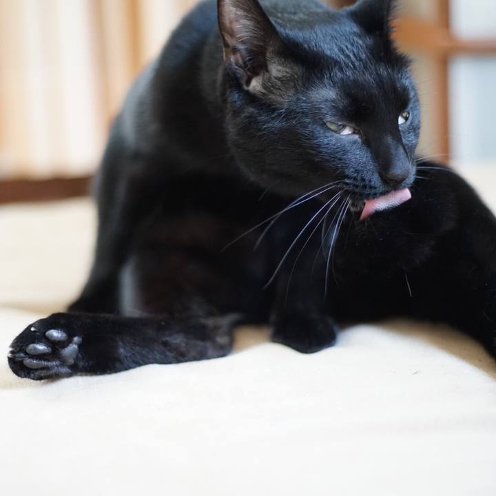 D057f38a 38ae 490f 9dc7 79025735820e 1525499500449