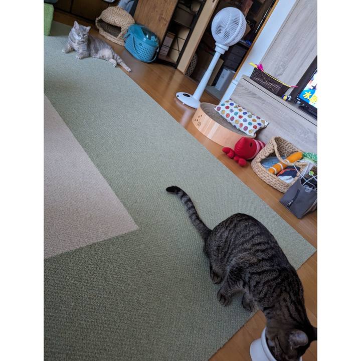 D057f613 c85d 4a2a 8808 66665512a4f2 1717564173567