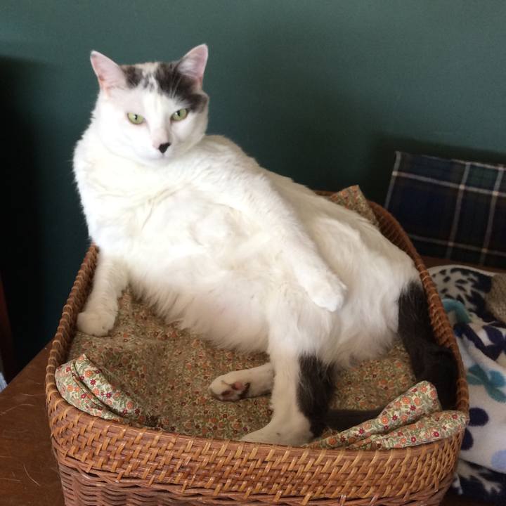 D0580c79 4a04 48bc acee cb4968ee041d 1538062742382