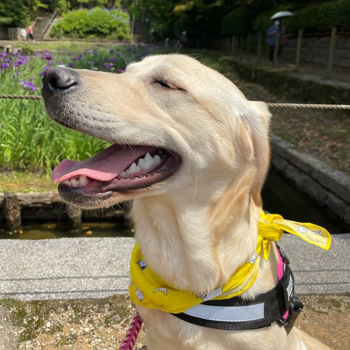 D0580d54 6d44 4ebe 9d76 026c656095c2 1621982176234