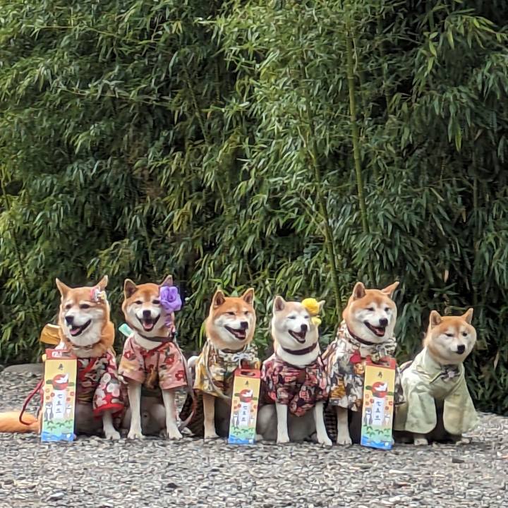 D0581a28 9187 4fec afc4 6433ab9ad7b8 1696118604274