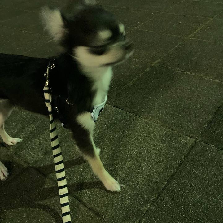 D0586378 9bc5 4064 a5dc d22b89d6deea 1599309925417