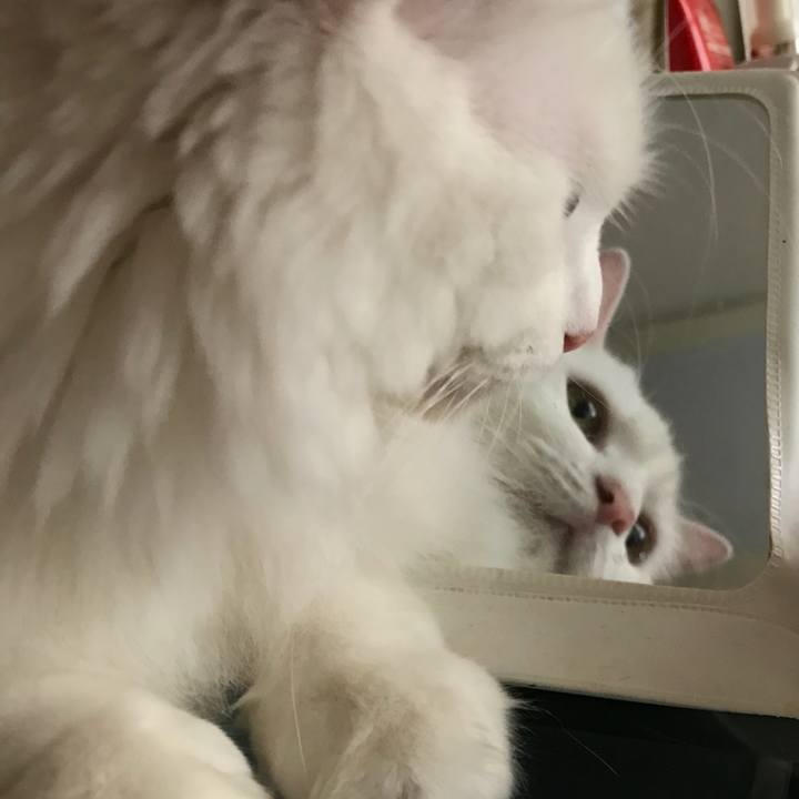 D05867c3 8bf2 4523 ac9e af60a2a5967c 1533008916530