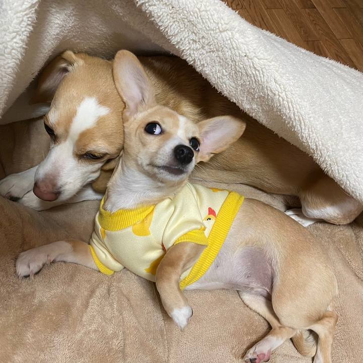 D05886d3 d4c2 4feb a6dd 7ad8114ae375 1671176610707