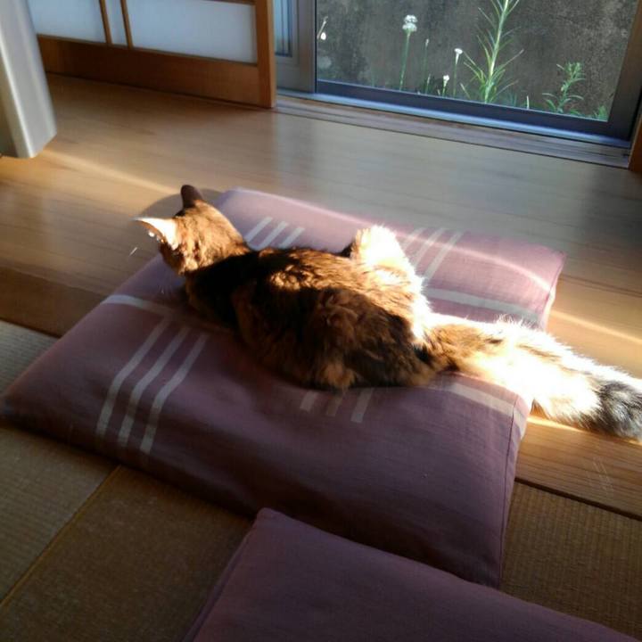 D058b9bc e4fb 42fd 9b47 4cb5d7ed7227 1569137501038