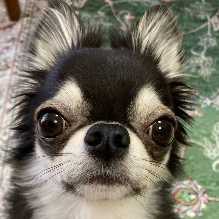 D058bbff 2074 4289 9344 42c6aa5a84af 1650757976936