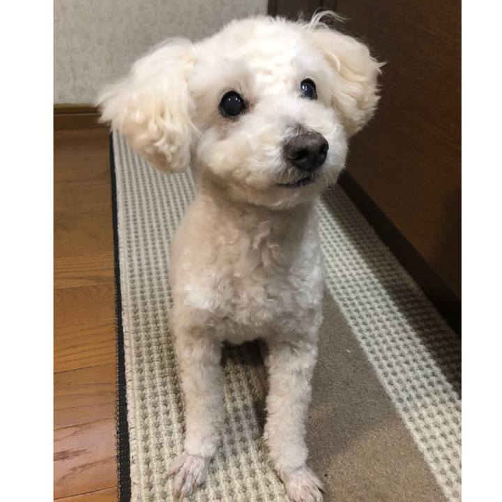 D058ded7 5310 4eea ab2e 4b27791795b8 1548716693349