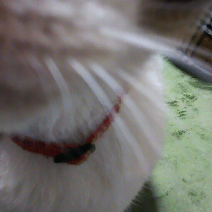 D0590773 49f9 4594 97cf 3952468bd97c 1557142274970