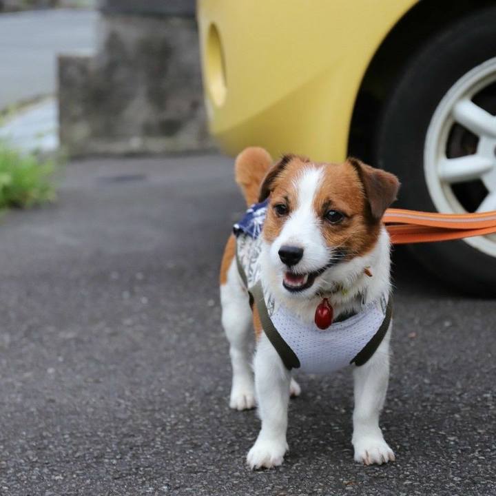 D0590bcc 9103 4a1d 85d7 489b77bf2393 1531090510709