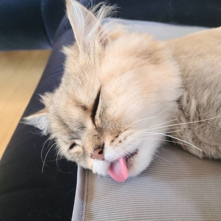 D0593389 26bb 4d3f 808e 9687b3ff9c1a 1720584876991