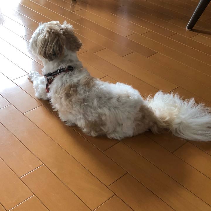 D0596091 7a13 4c15 b700 b51f7a80cb0b 1629841153658