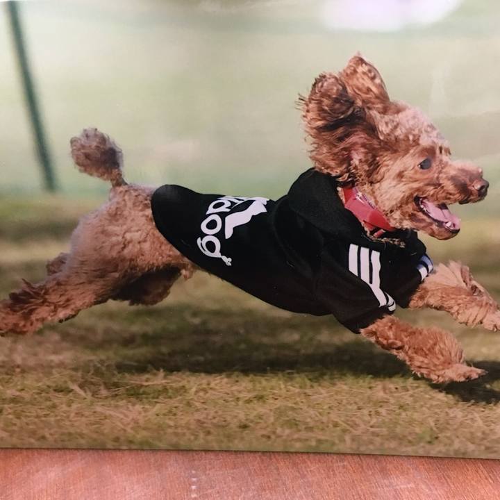 D05993ac 0dcf 462e 96b6 f95c1e793df6 1511238314080