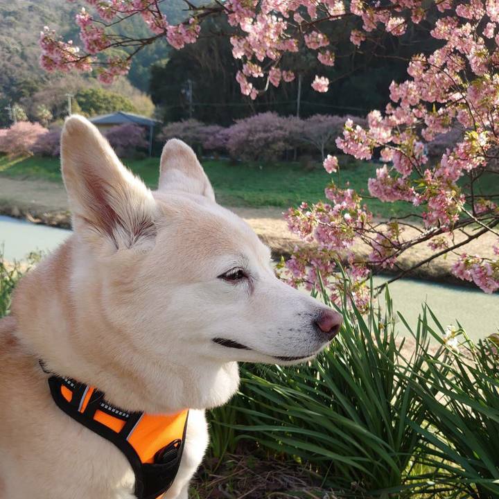 D059a1b8 c221 4334 870d 7e5f5e5da813 1613962563554