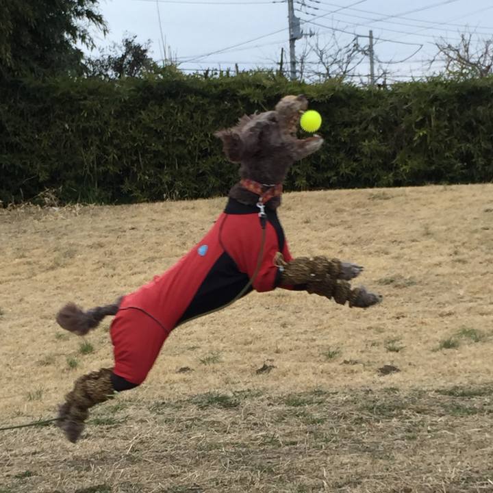 D059a3f9 0682 4fba a525 0e35db2e3fe5 1519572543936