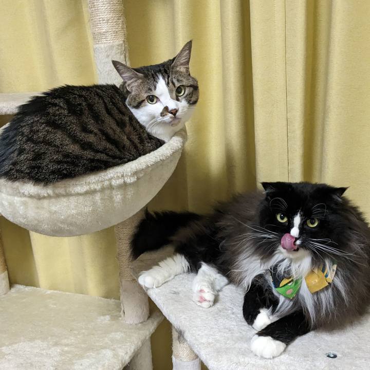 D059b0b2 a515 4f4b 90ab 683a1ce9dc0c 1697895438955