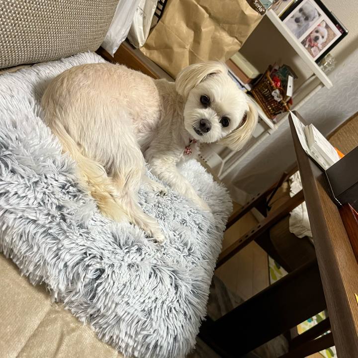 D059b404 2f52 4ed3 a4da 784c494090ce 1666594447159