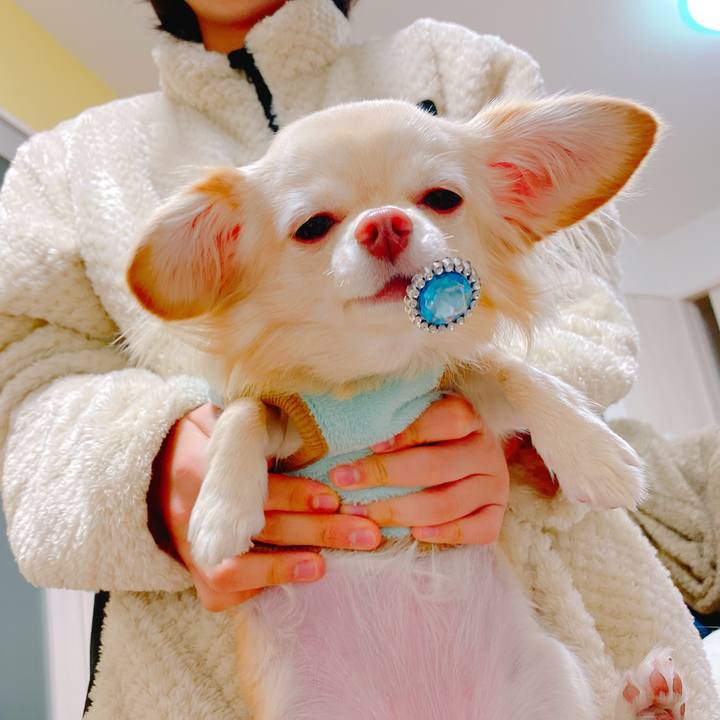 D059b8a0 8678 49ba bf14 317602f01a13 1640245937814