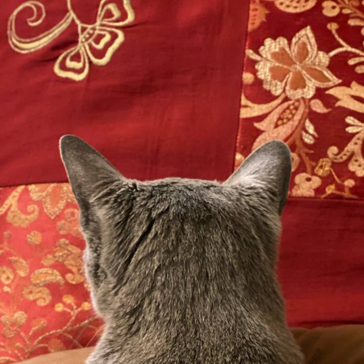 D059d416 dccf 427d a2d7 1bb98d04d6c7 1601421442513