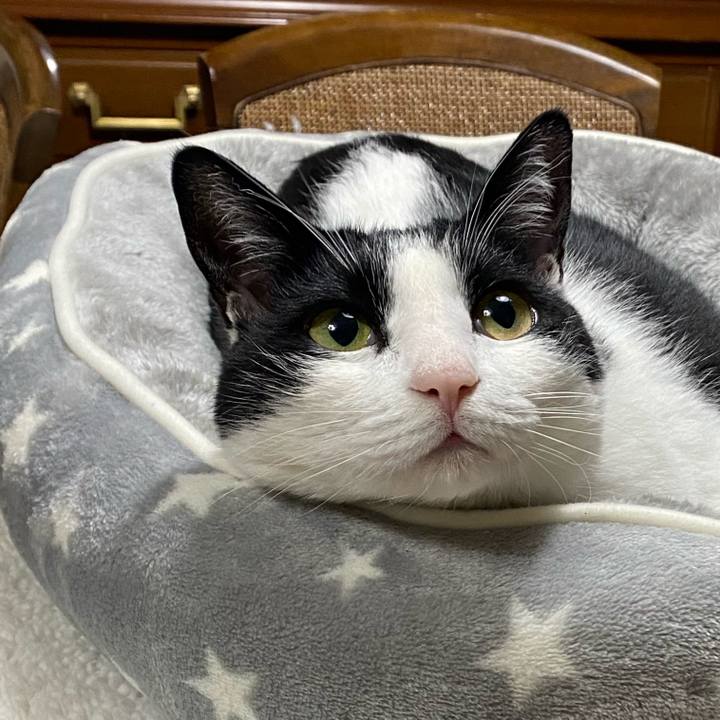 D059d6cf 9636 43b1 8cca 9d9ff36923c4 1604921781431