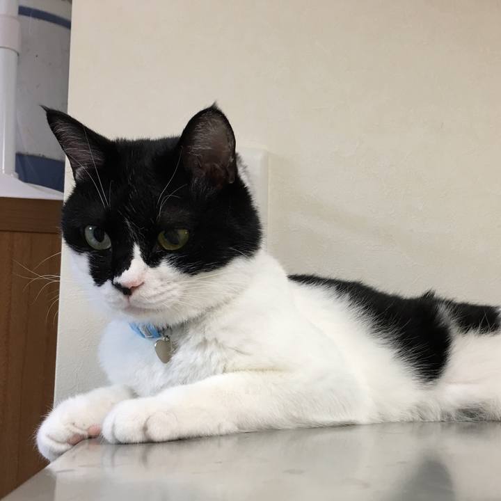 D059ed9a 4f25 4397 a0c9 350511ffee48 1507973965029