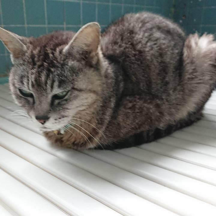 D059f8bf ee57 4858 a577 67b6ff3b7fbe 1562453563040