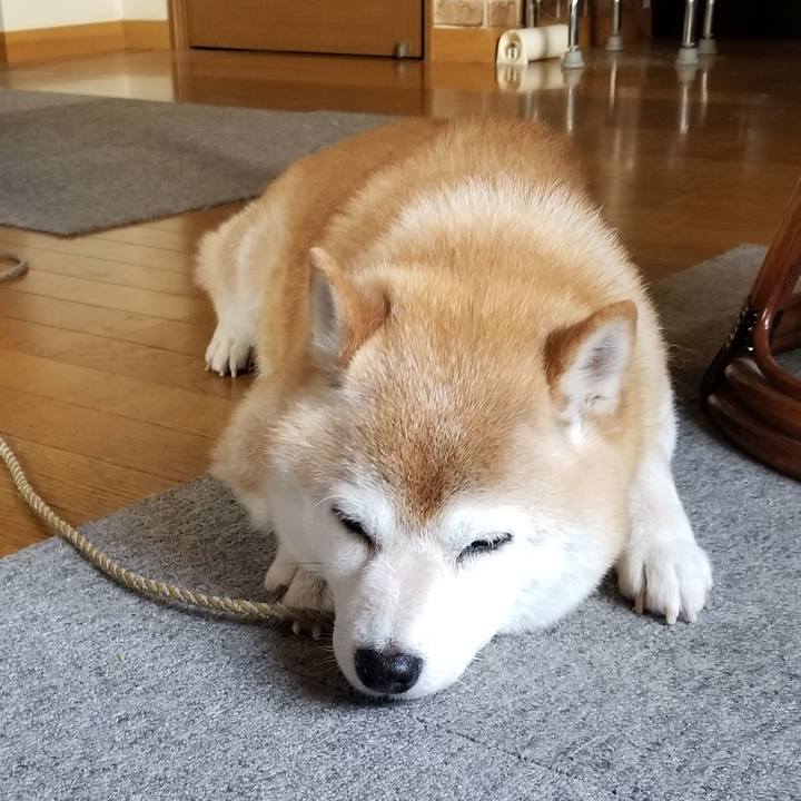 D059fa39 cdca 4cc1 8230 259f0fdff18a 1657264819670