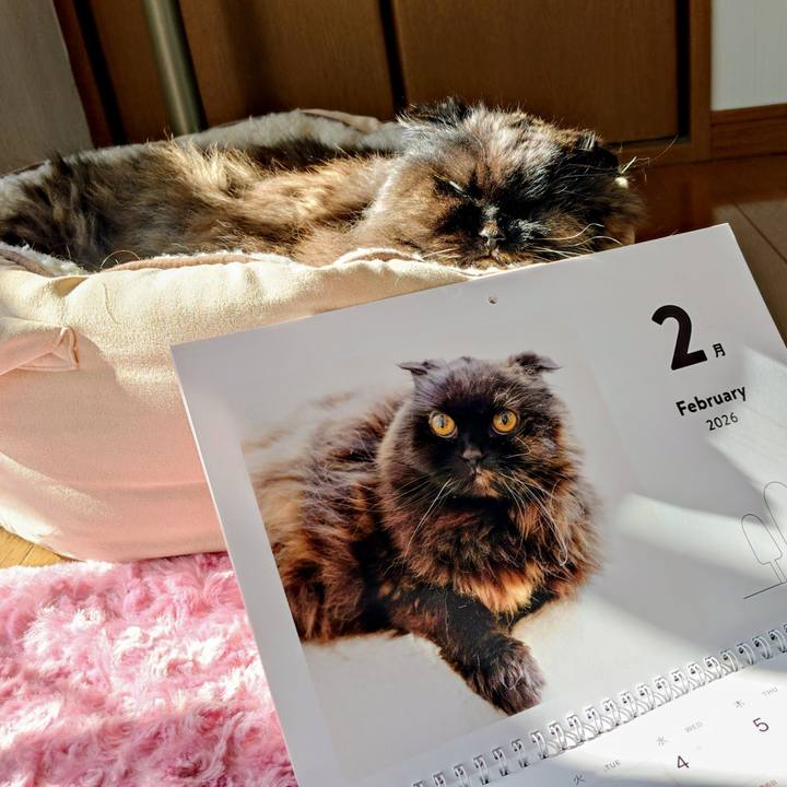 D05a4085 ae5d 459b 9ea2 d14f8db42eb6 1770006990987