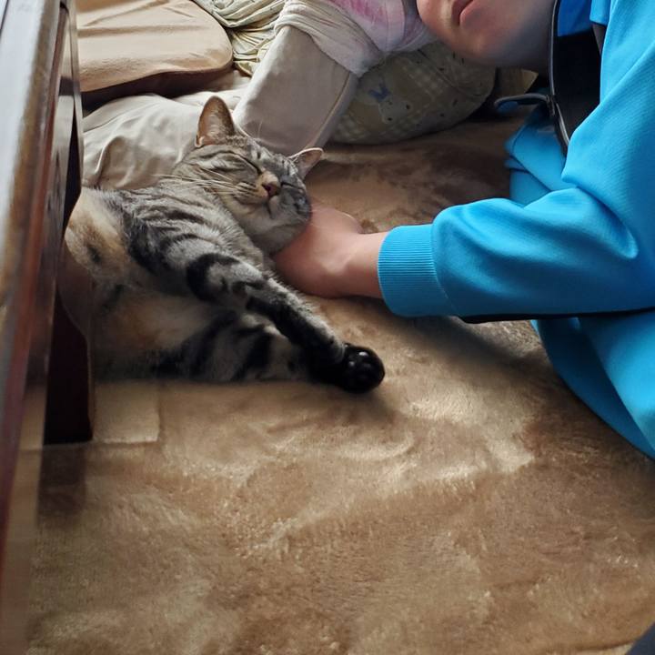 D05a5332 c7f7 44ca 8b48 18616692c90b 1708967124780