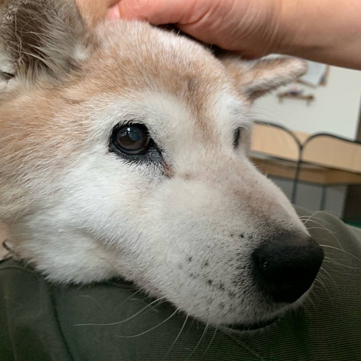 D05a58ad 904c 49ce be3b 99b84b59eef7 1693383660828