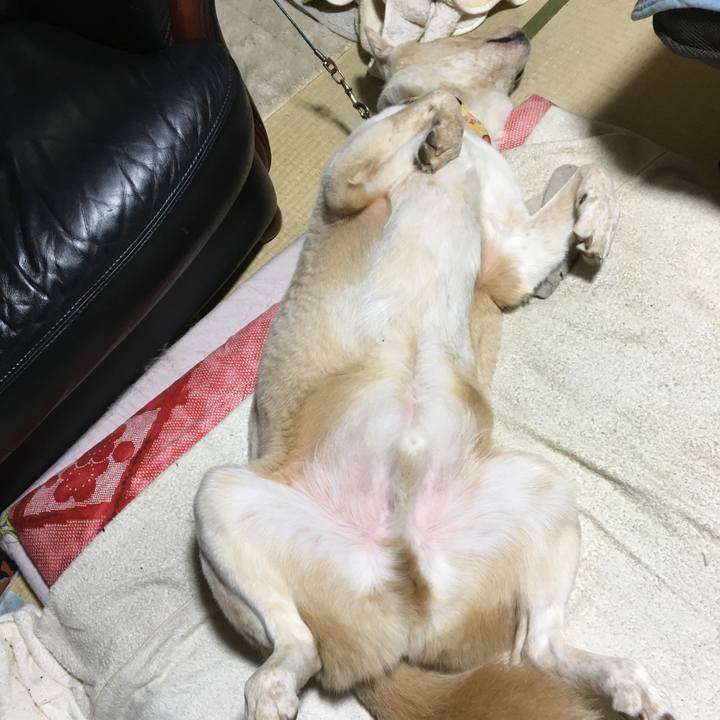 D05b2582 ba9b 484e 883d 0ada8e0f9eb2 1508856697330