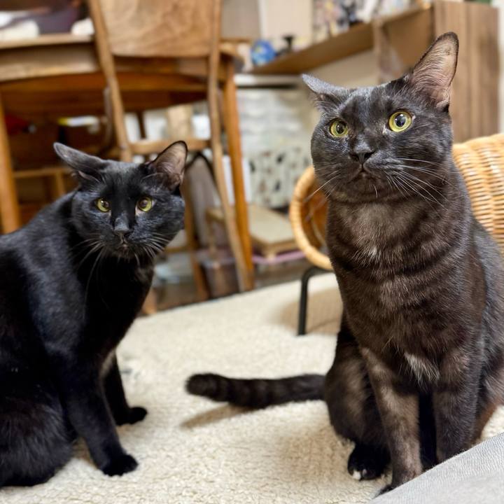 D05b48e8 f3b1 4060 a527 444dc74ebb7f 1768042242319