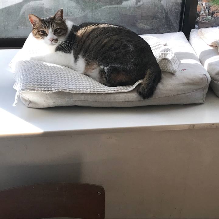 D05b5b79 e075 47aa 9b0c 29a392b873e5 1521263158508