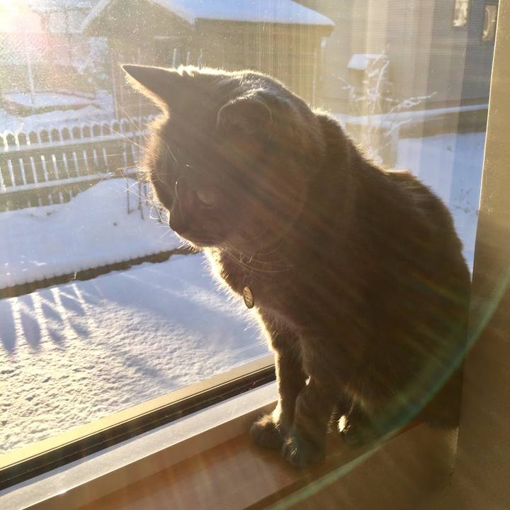 D05bcc6a 2b1f 458c 9724 1e8081f835db 1542925866726