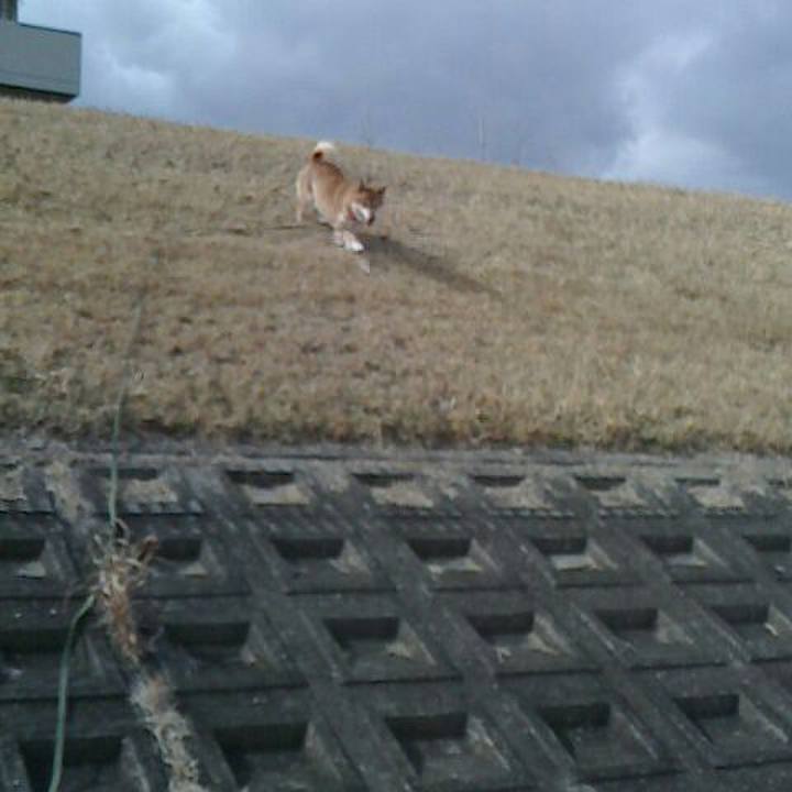 D05bf48a cf50 4eb5 b341 7018f8ec0cde 1519898096394