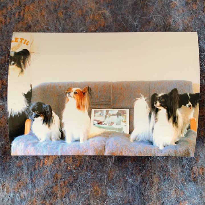 D05c0ef4 2a61 498a 9469 61f84f83ff1b 1636254078841