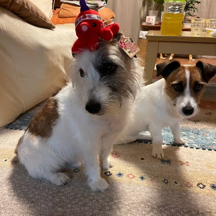 D05c2b24 d0e1 44af 9307 c9b1d336b3b5 1685358969728