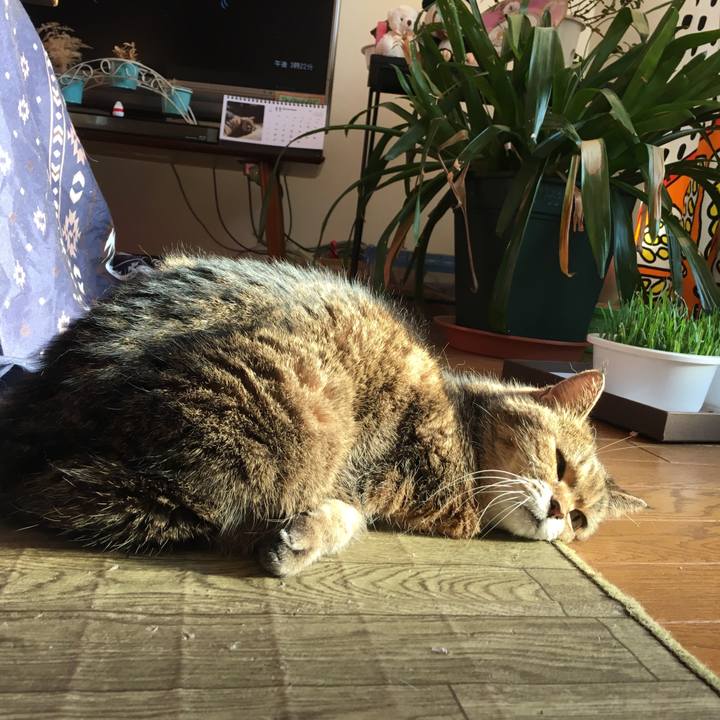 D05c856b c607 4bdd a313 34a104ba1804 1510813440186